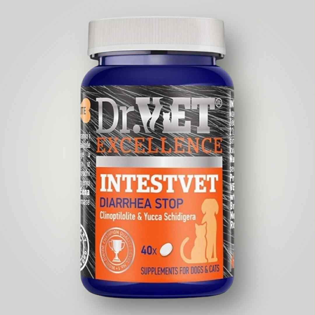 IntestVet