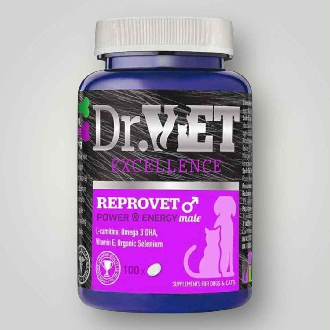 ReproVet - Karlkyns