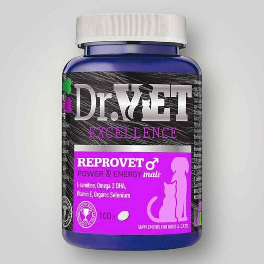 ReproVet - Karlkyns